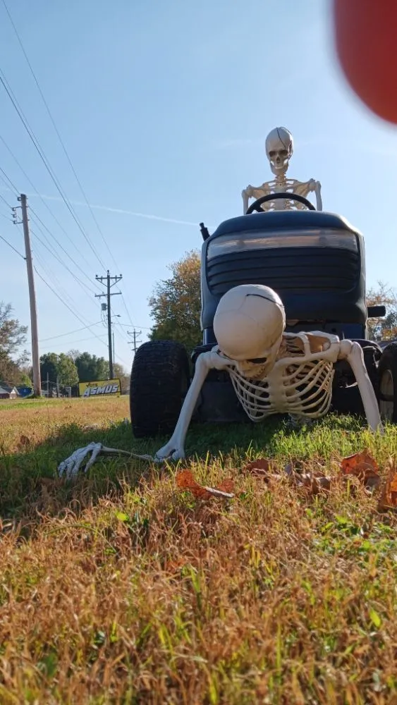 Custom landscaping services in Cape Girardeau, MO by Mike's Mowing and More