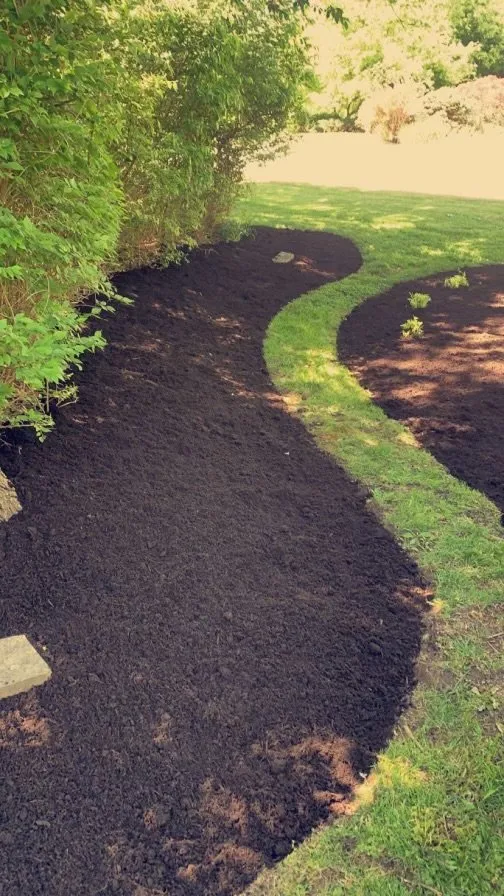 Reliable yard cleanup service in Reading, OH - Mike’s Mowing and Mulching