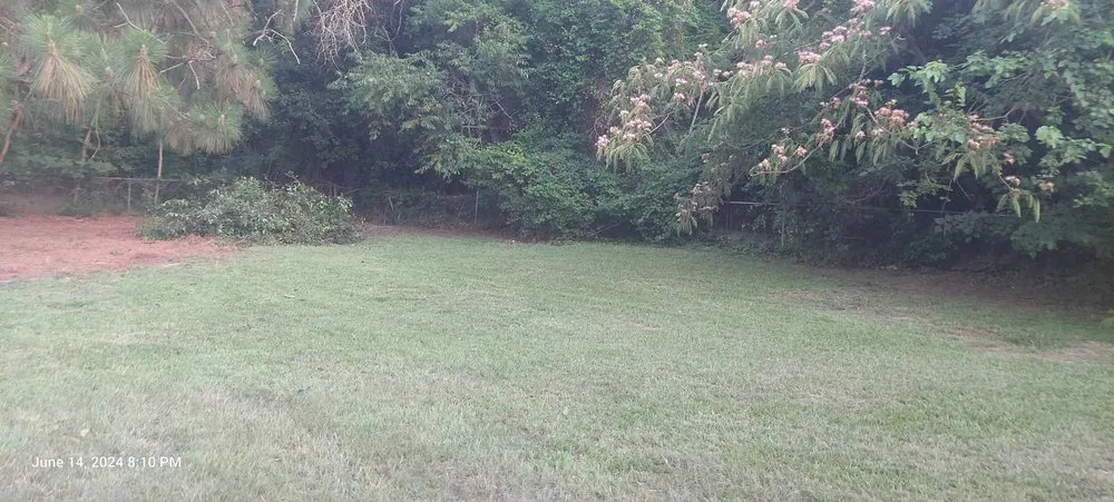 Affordable lawn care service for beautiful yards in Fayetteville, NC by Mike's Mowing