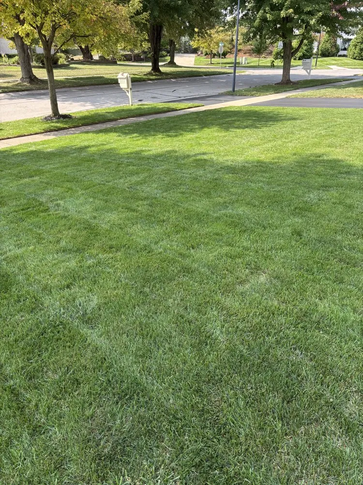 Top-rated lawn care service in Maumee, OH by Mike’s Mowing