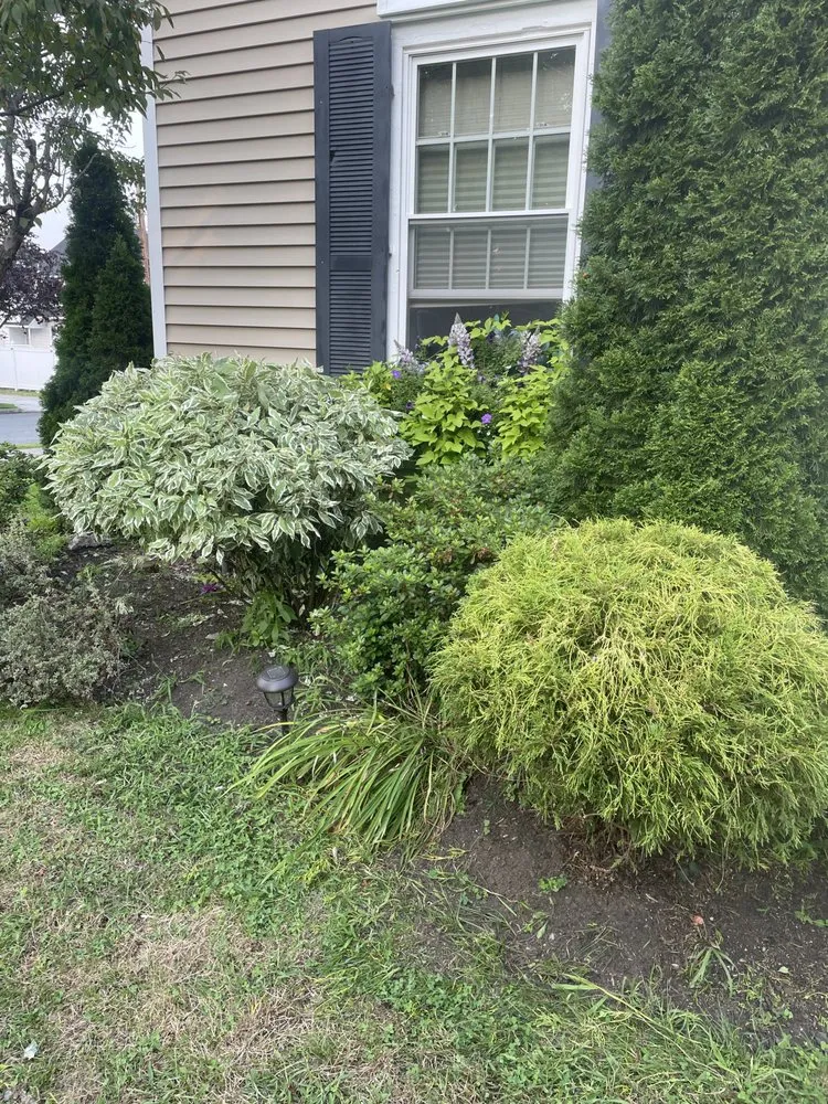 Affordable landscaping services experts serving Methuen, MA - Mikes Mowing