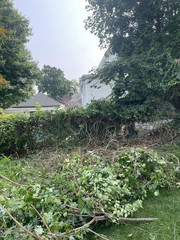 Affordable landscape installation experts serving Methuen, MA - Mikes Mowing