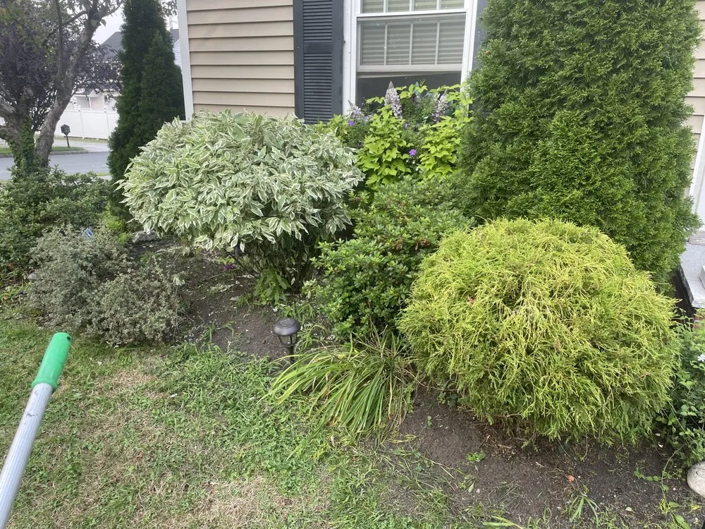 Reliable landscaping services for outdoor upgrades in Methuen, MA by Mikes Mowing