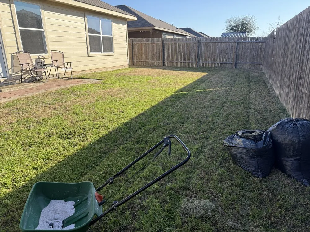 Local landscape design in Manor, TX by Mike’s Mowing Services