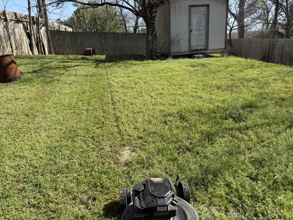 Custom lawn mowing service for outdoor upgrades in Manor, TX by Mike’s Mowing Services