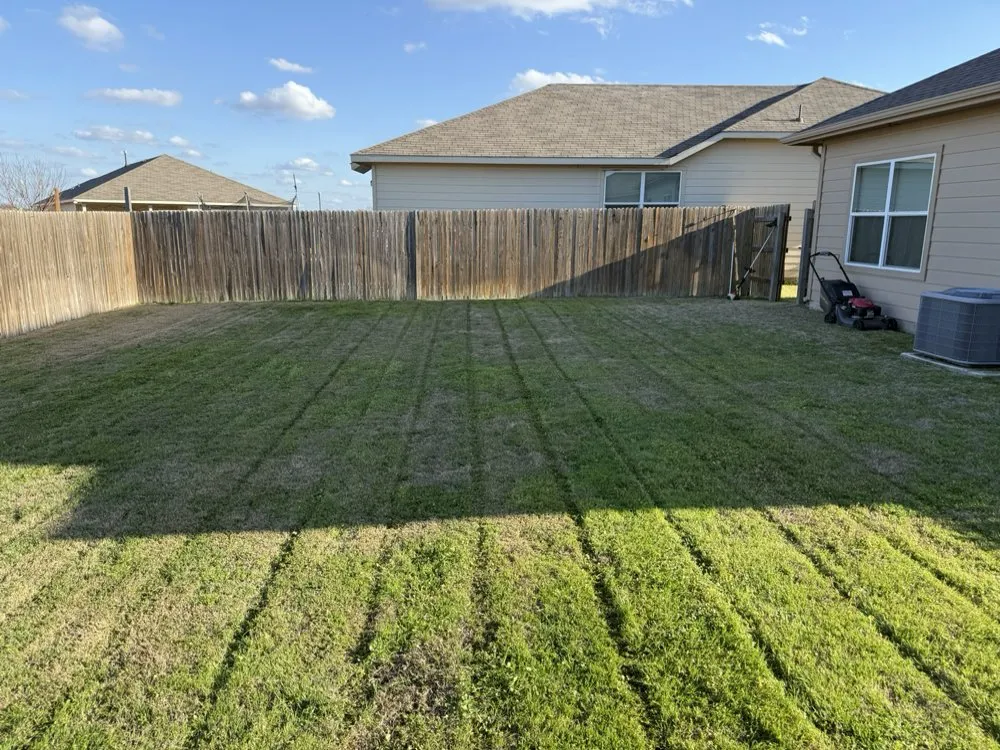 Custom landscape installation in Manor, TX - Mike’s Mowing Services