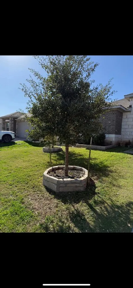 Reliable lawn mowing service experts serving Manor, TX - Mike’s Mowing Services