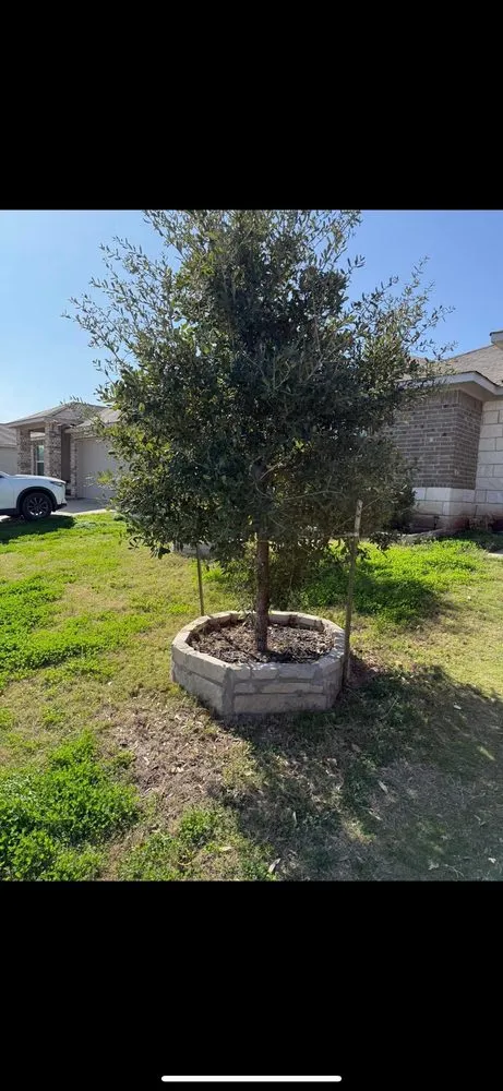 Professional landscaping services for homes in Manor, TX by Mike’s Mowing Services