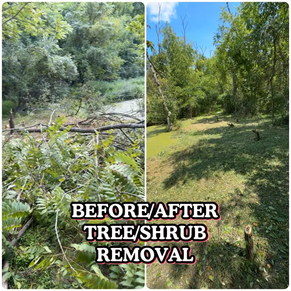 Custom yard cleanup service in Reading, PA - Mike’s Mulching and Landscaping