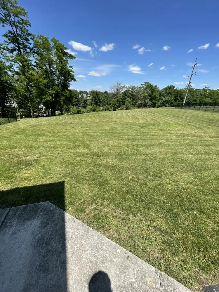 Professional yard cleanup service for outdoor upgrades across Reading, PA - Mike’s Mulching and Landscaping