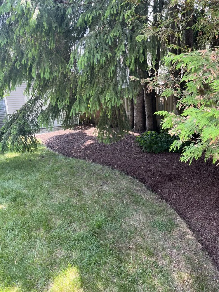 Reliable yard cleanup service in Sheboygan, WI - Mike’s Mulching and Mowing