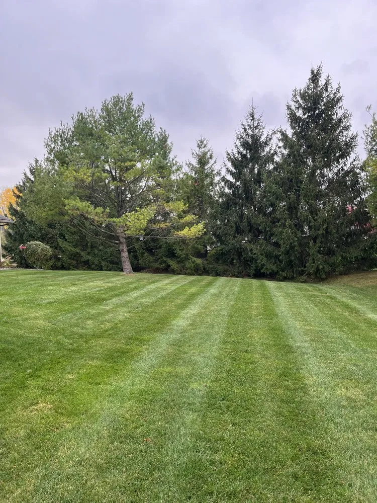 Trusted lawn mowing service in Sheboygan, WI by Mike’s Mulching and Mowing