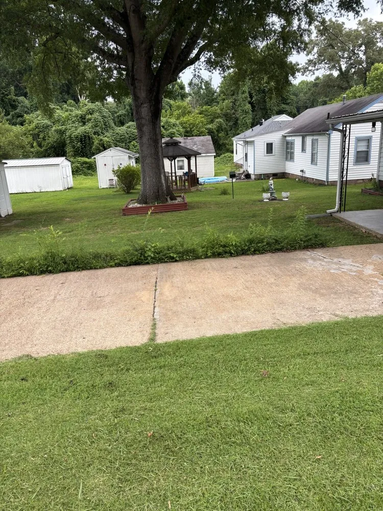 Expert lawn care service with custom design across Jackson, TN - Mikes Odd Jobs