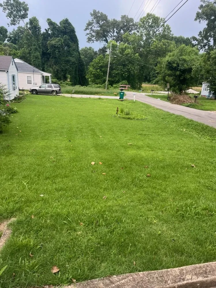 Trusted landscaping services for beautiful yards in Jackson, TN by Mikes Odd Jobs