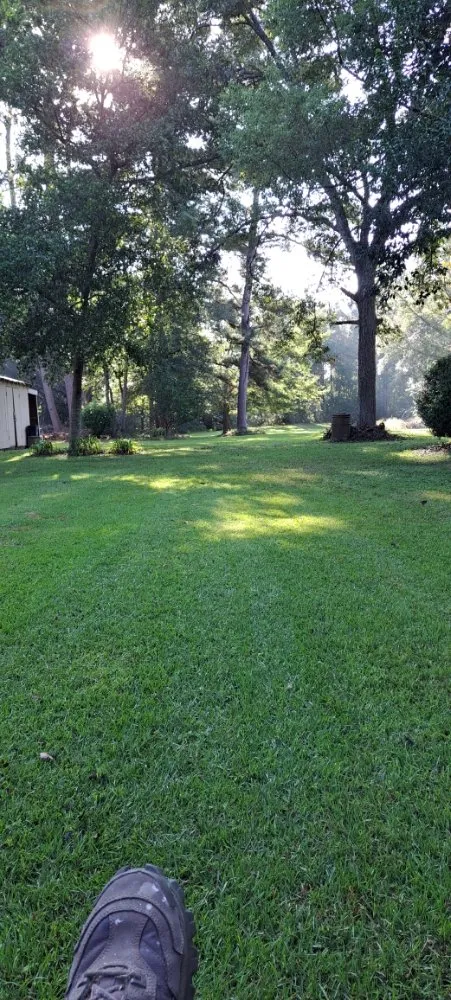 Custom yard cleanup service in Pavo, GA - Mikes Outdoor Services