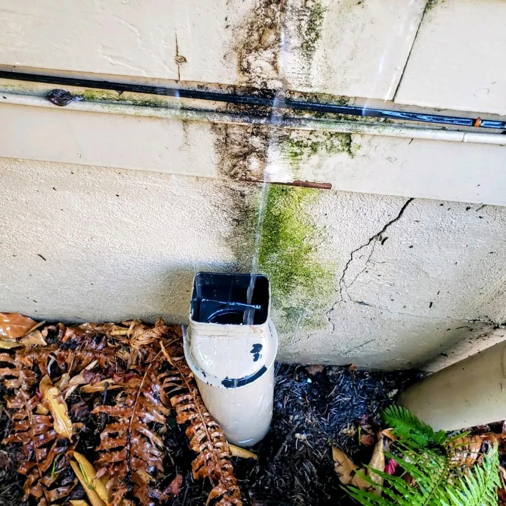 Expert yard maintenance experts serving Mcminnville, OR - Mike's Powerwashing & More