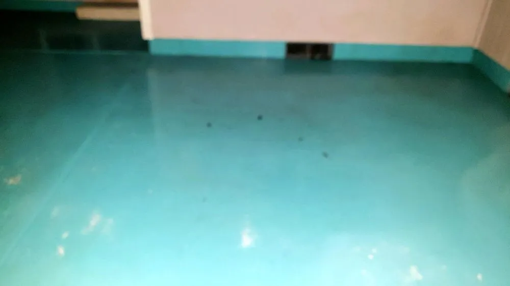 Expert yard cleanup service in Mcminnville, OR by Mike's Powerwashing & More