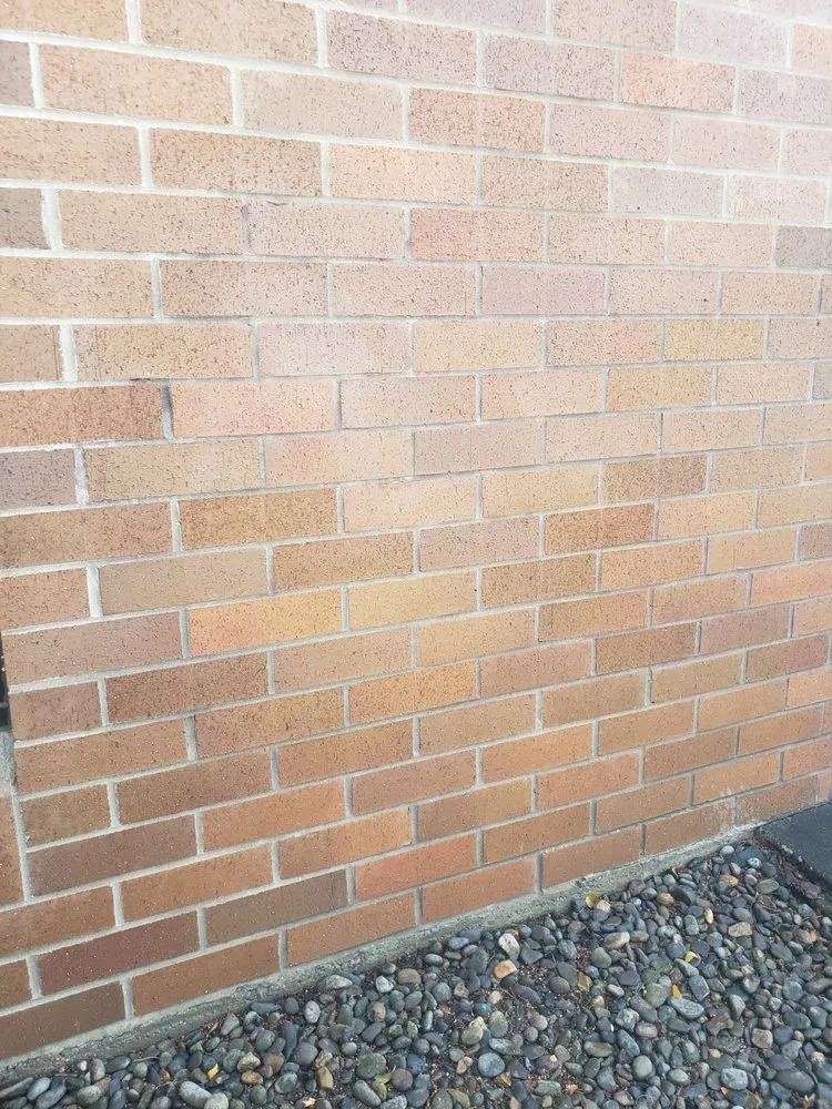 Custom yard maintenance experts serving Mcminnville, OR - Mike's Powerwashing & More