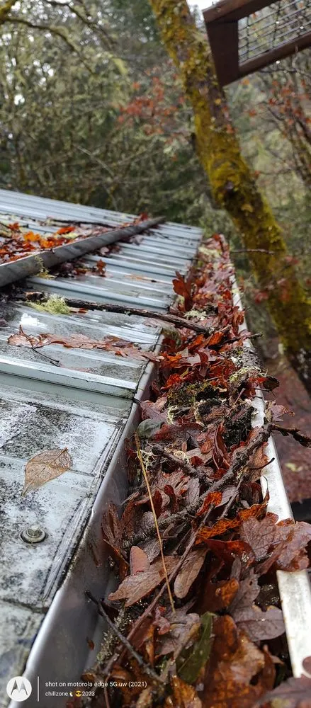 Local landscaping services in Mcminnville, OR by Mike's Powerwashing & More