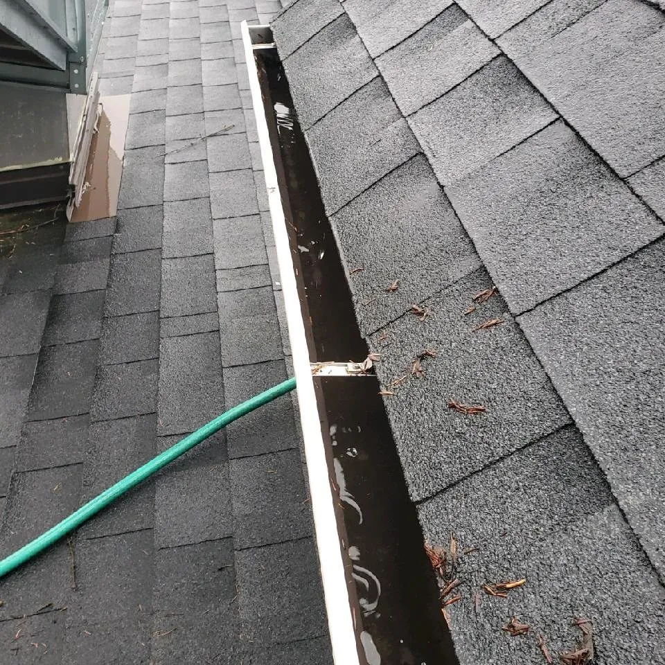 Custom yard cleanup service for year-round maintenance across Mcminnville, OR - Mike's Powerwashing & More