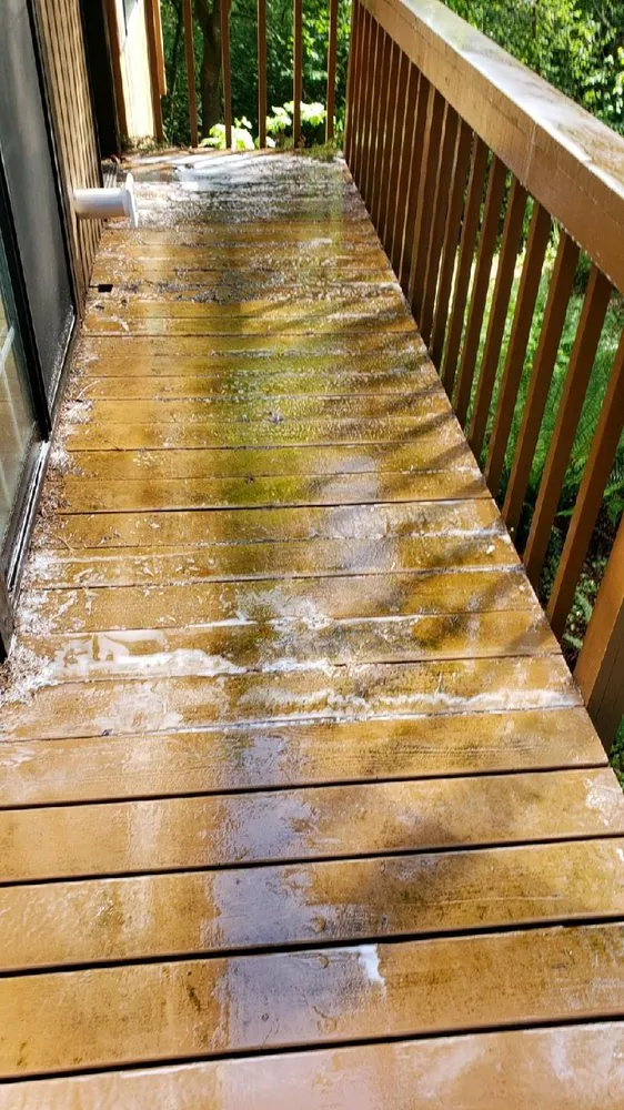 Professional landscaping services in Mcminnville, OR - Mike's Powerwashing & More