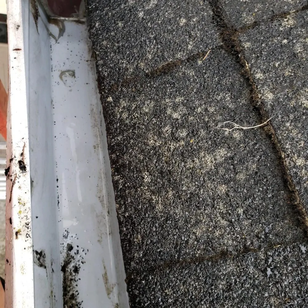 Reliable landscape installation in Mcminnville, OR by Mike's Powerwashing & More