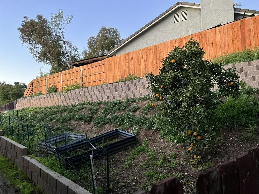 Expert landscape design for outdoor upgrades across Oceanside, CA - Mike's PR Landscaping and Tree Service.