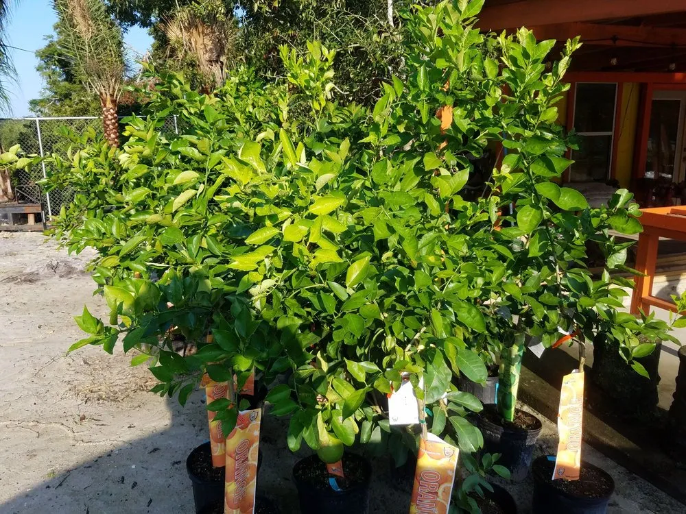 Local residential landscaping near you across Foley, AL - Mike's Produce & Plants