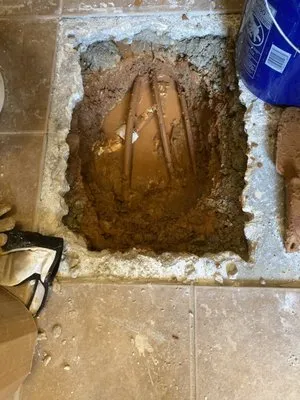 Mike’s Professional Lawn Care and Handyman Service Logo