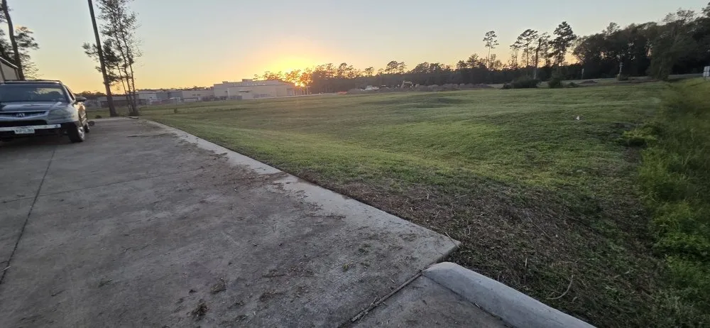 Local landscaping services for year-round maintenance in Vidor, TX by Mike's professional Lawn Care