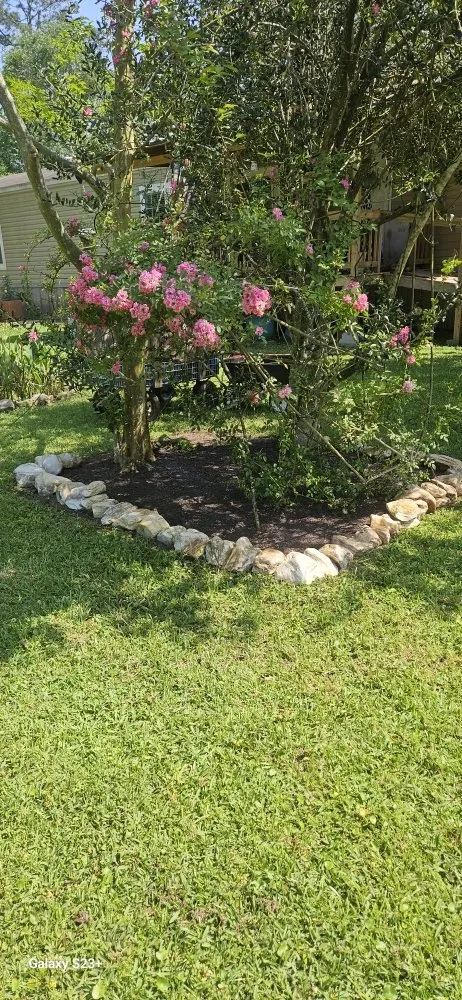 Professional yard maintenance experts serving Vidor, TX - Mike's professional Lawn Care