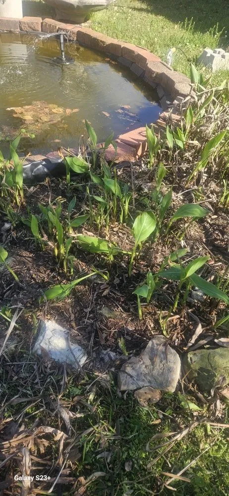 Top-rated landscape installation in Vidor, TX - Mike's professional Lawn Care