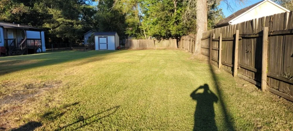 Expert lawn care service in Vidor, TX by Mike's professional Lawn Care