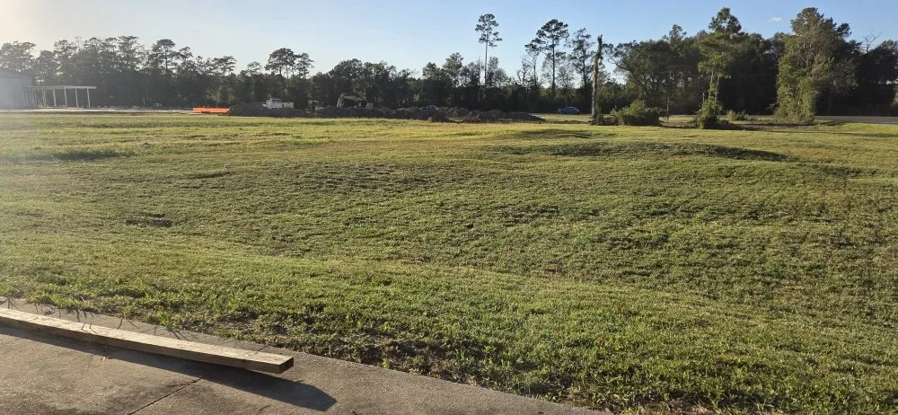 Local yard maintenance in Vidor, TX - Mike's professional Lawn Care