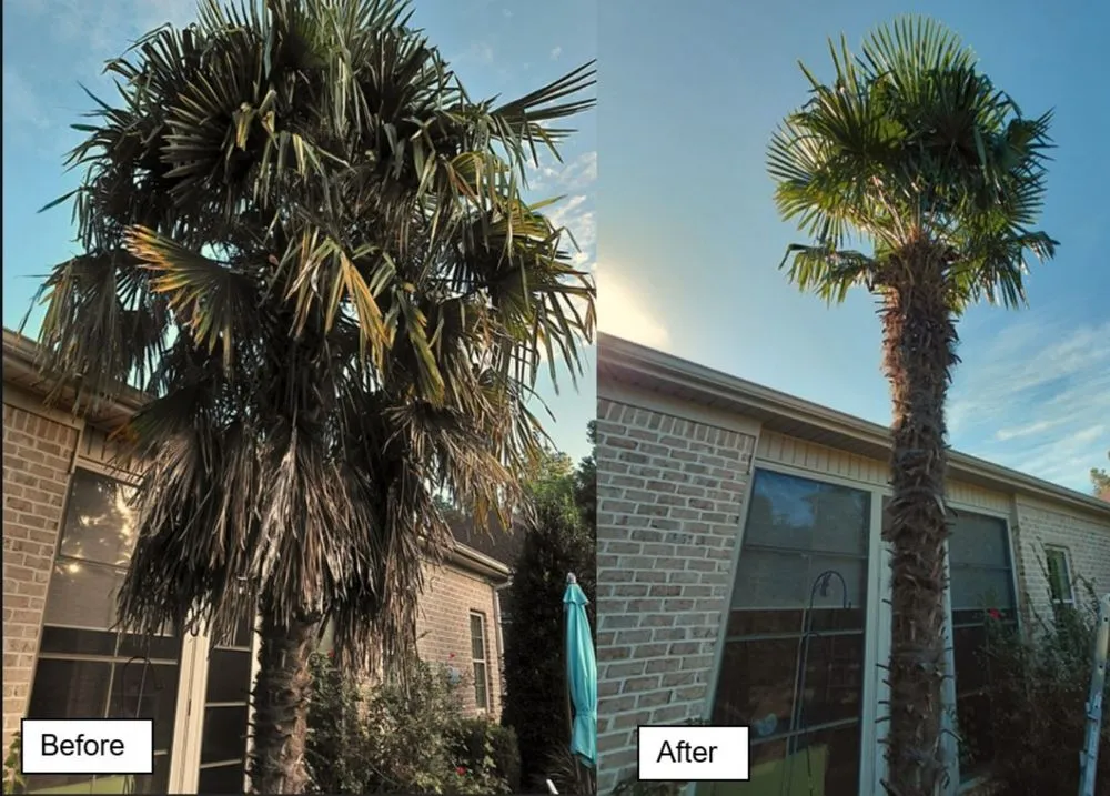 Local residential landscaping in Wilmington, NC by Mikes Pruning and Trimming