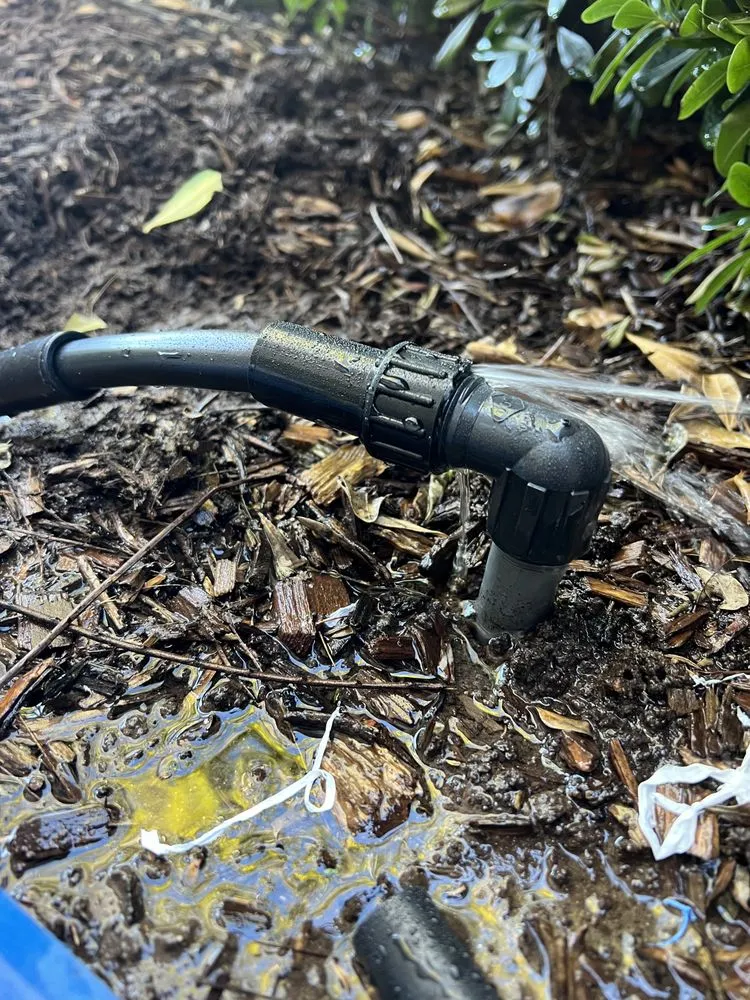 Top-rated landscape design in Temecula, CA - Mike’s Sprinkler & irrigation Repair