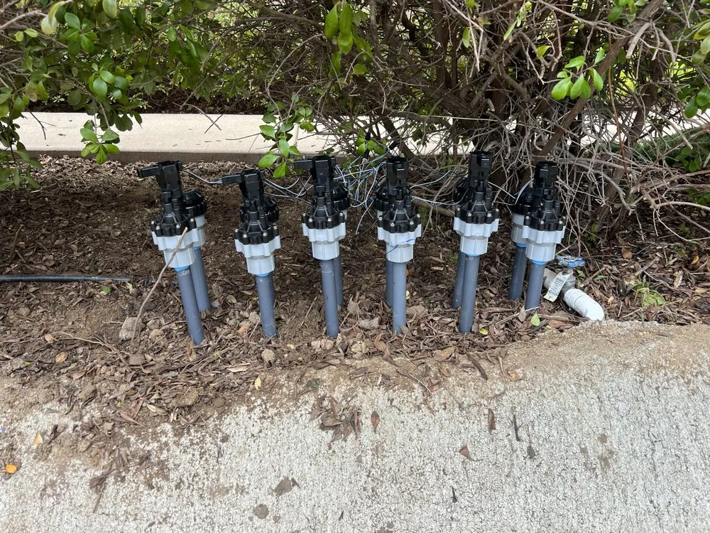 Expert yard cleanup service experts serving Temecula, CA - Mike’s Sprinkler & irrigation Repair