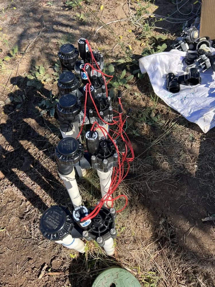 Trusted residential landscaping in Temecula, CA by Mike’s Sprinkler & irrigation Repair