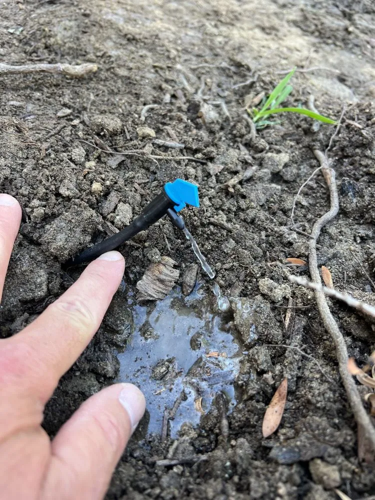 Expert outdoor landscaping for residential properties across Temecula, CA - Mike’s Sprinkler & irrigation Repair