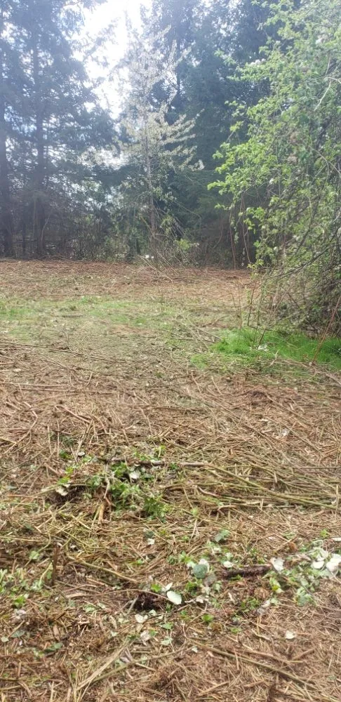 Reliable lawn mowing service experts serving Graham, WA - Mike's Tractor Work