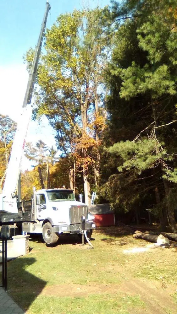 Expert lawn mowing service for beautiful yards across Paoli, PA - Mike's Tree & Landscaping