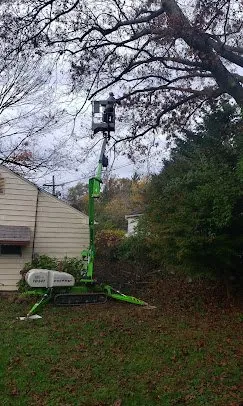 Local garden landscaping in Paoli, PA - Mike's Tree & Landscaping