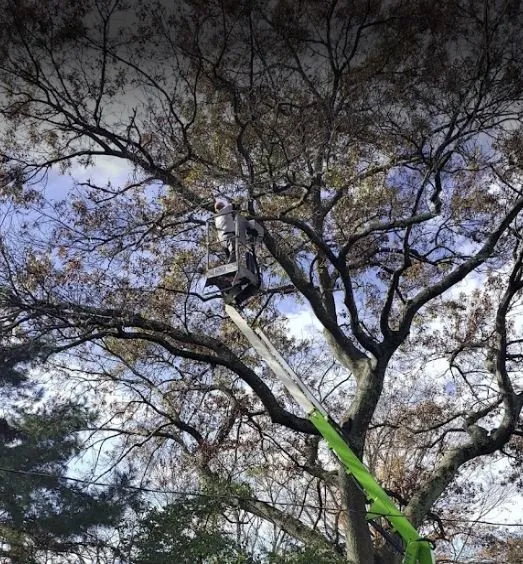 Affordable garden landscaping in Paoli, PA by Mike's Tree & Landscaping