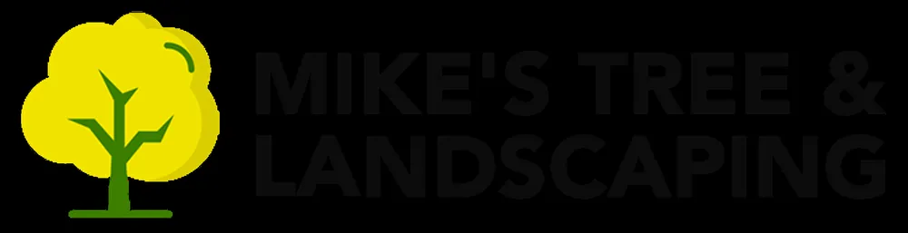 Custom yard cleanup service in Paoli, PA by Mike's Tree & Landscaping