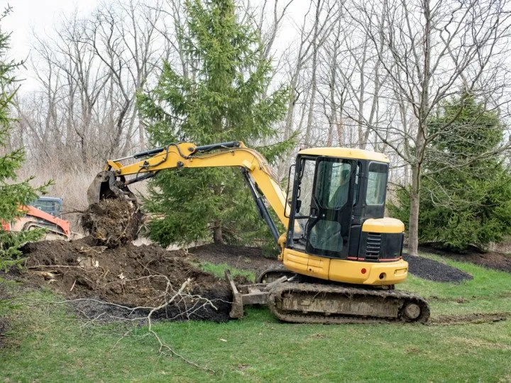 Trusted lawn mowing service for residential properties across Paoli, PA - Mike's Tree & Landscaping