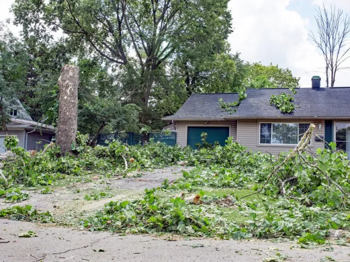 Custom residential landscaping experts serving Paoli, PA - Mike's Tree & Landscaping