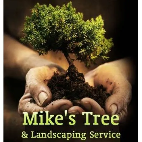 Reliable landscape design in Byron, GA - Mike's Tree & Landscaping Service