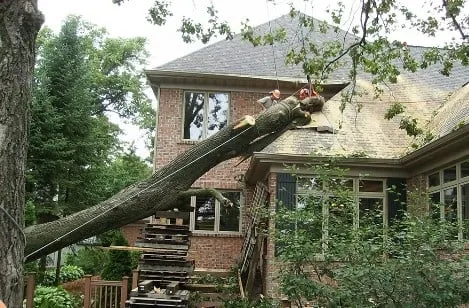 Custom yard maintenance experts serving Byron, GA - Mike's Tree & Landscaping Service