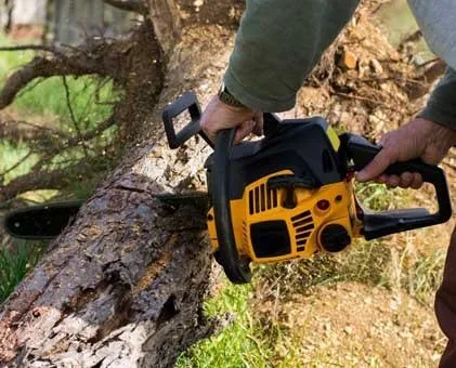 Local landscaping services for year-round maintenance in Peculiar, MO by Mikes Tree Service & Landscaping