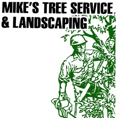 Professional yard cleanup service for homes across Peculiar, MO - Mikes Tree Service & Landscaping